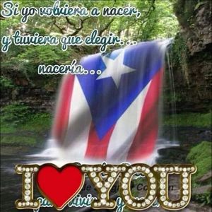 Meet your Posher, Rosa